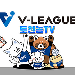 배구 중계 스포츠 중계 스포츠 분석 토토 커뮤니티 토친놈티비