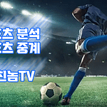 스포츠 중계 스포츠 분석 토친놈