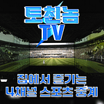 스포츠 중계 스포츠 분석 한국시리즈 NBA V리그