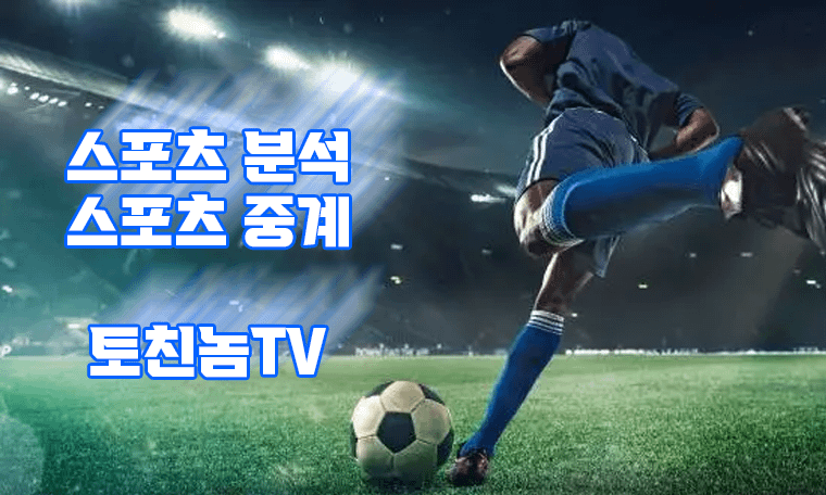 스포츠 중계 스포츠 분석 토친놈